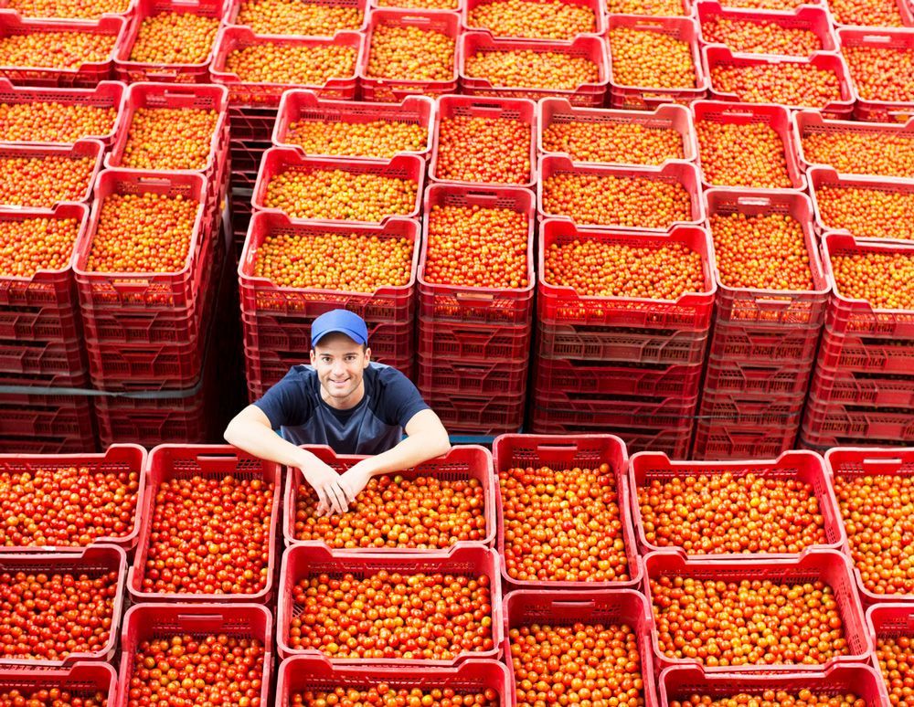 La industria agroalimentaria, un sector en plena transformación y con alta demanda de reclutamiento